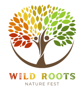 Everything is Connected