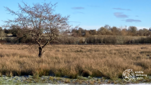 The January Blues - real or imagined?