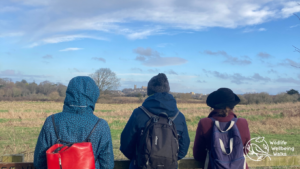 Winter walk - Fairfield Nature Reserve