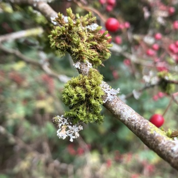 96780D68-4FB2-4FB2-8013-4AD95512D809_1_201_a