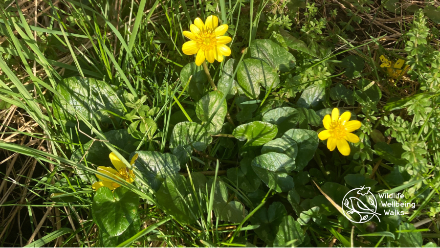 Quay & Quay Meadows Mar 2026